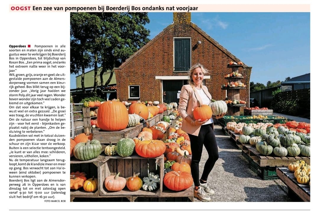 Rosan Bos in de krant over de pompoenenboerderij