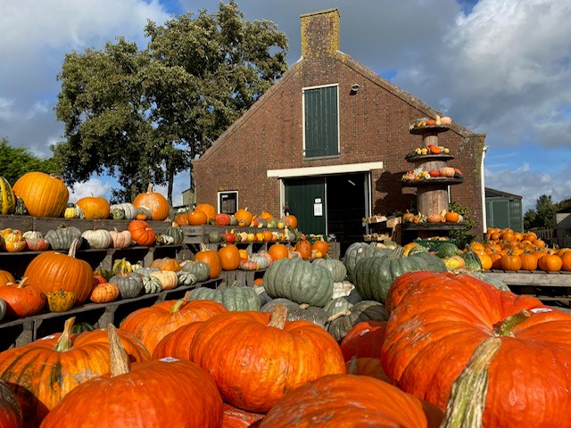 De pompoenentoren en uitgestalde pompoenen bij Boerderij Bos in Opperdoes