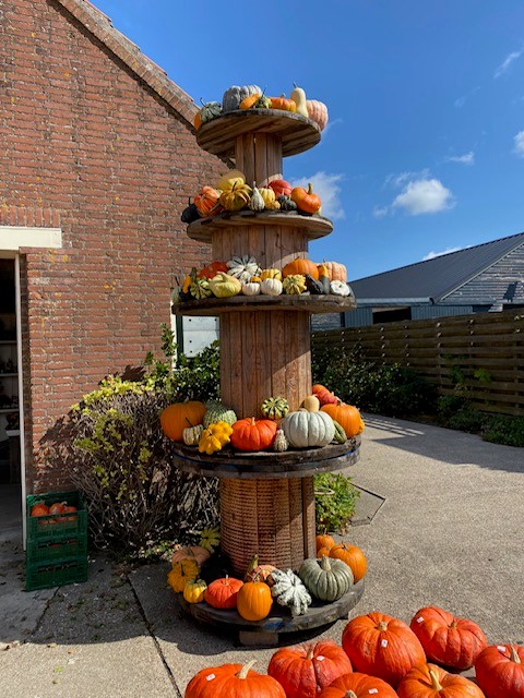 De pompoenentoren bij Boerderij Bos in Opperdoes